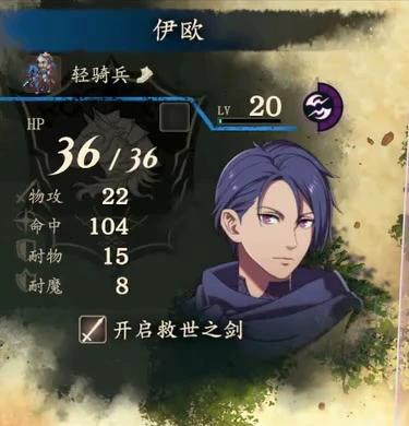 The same combat panel after Io dismounts shows Protection 15, still with the Chosen Sword equipped.